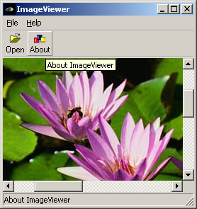 Image viewer on Windows XP